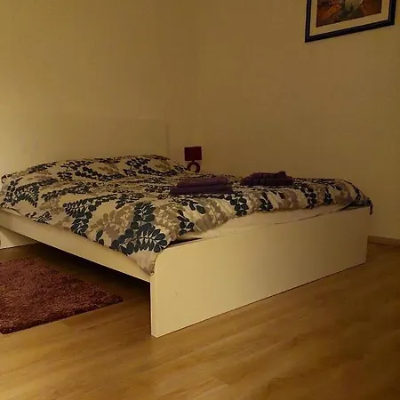 Studio Apartman Dolenac